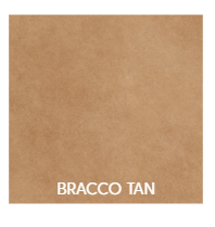 Arden Ottoman - Bracco Tan Leather