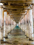 Fading Point II
