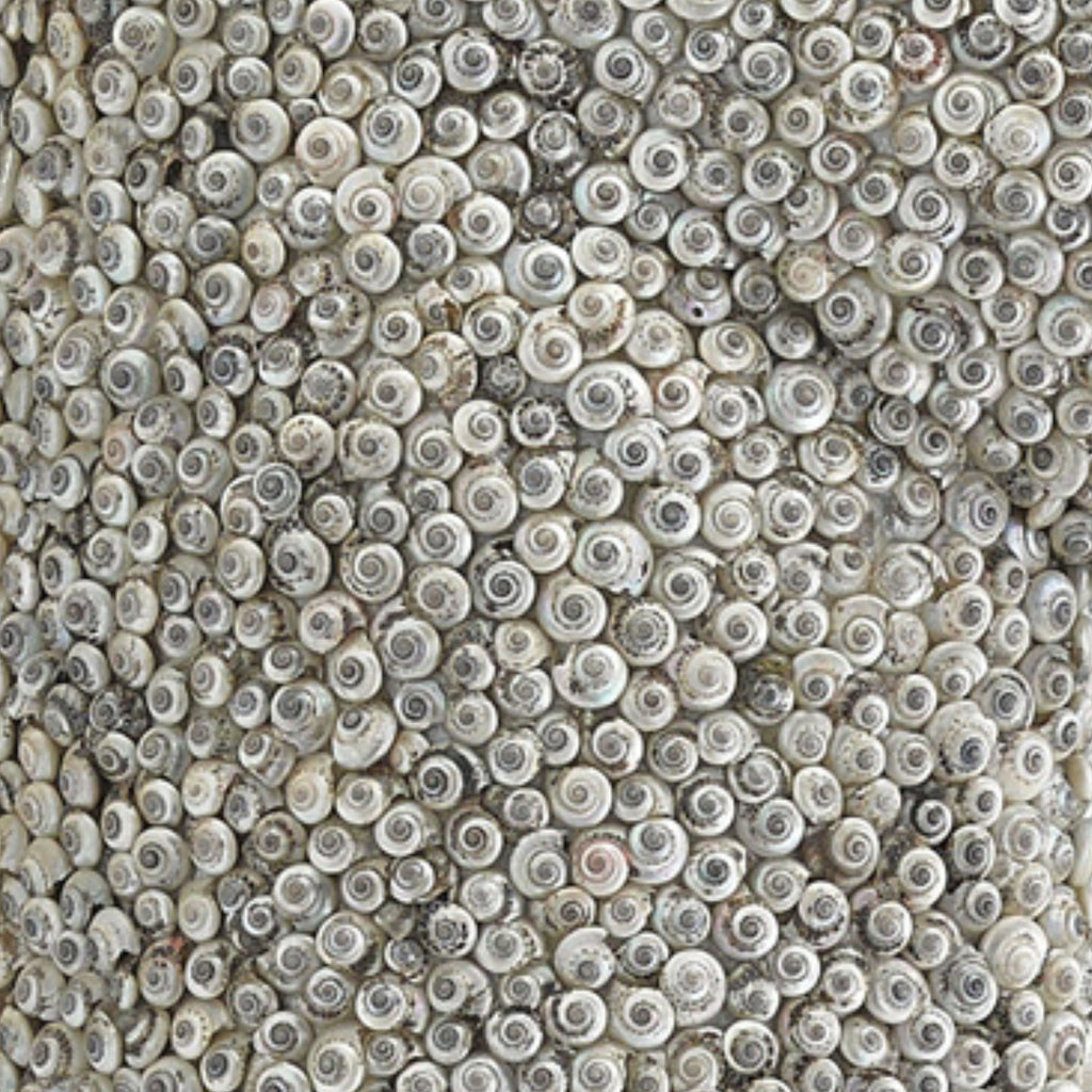 Shell Mirror, Round