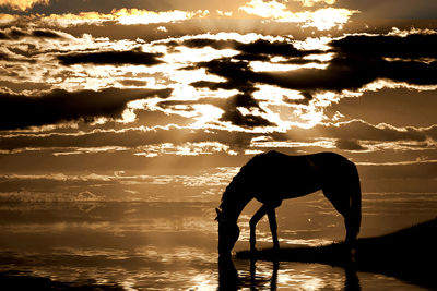 Sepia Sunset